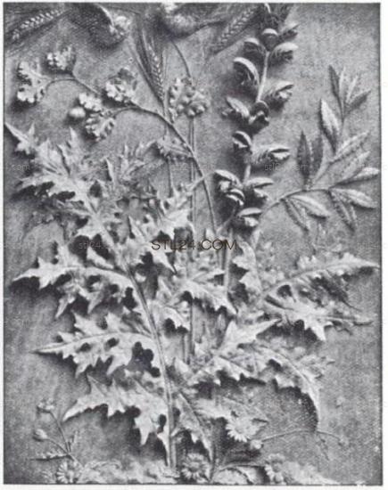 CARVED PANEL_1750